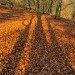 Hebden 311009_16